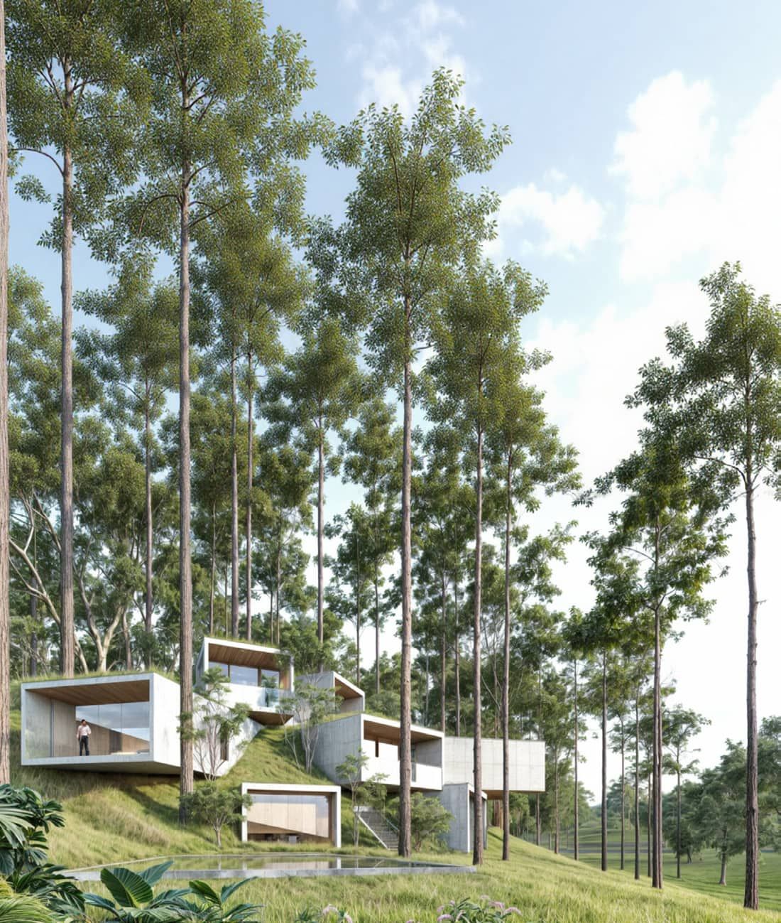 Bình House 2